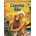 Modrá lagúna DVD