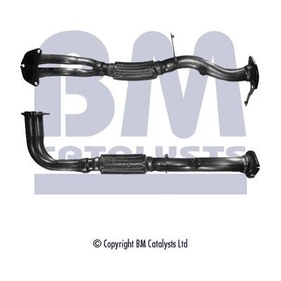 BM CATALYSTS BM70484