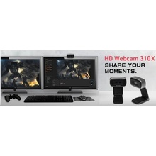 AVerMedia HD Webcam 310X