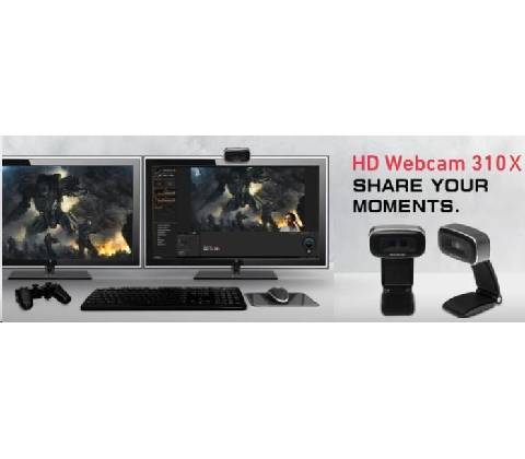 AVerMedia HD Webcam 310X