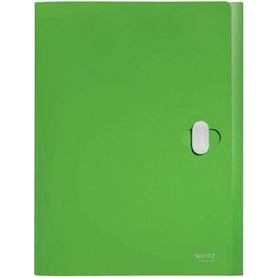 Leitz Протектор за документи, 38 мм, PP, A4, LEITZ "Recycle", зелен 46230055 (46230055)