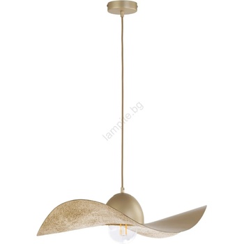 Image 1 of SIGMA KAPELLO 32348