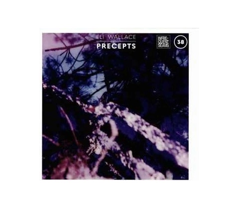 Eli Wallace - Precepts CD