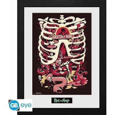 Rick and Morty Zarámovaný plakát - Anatomy Park