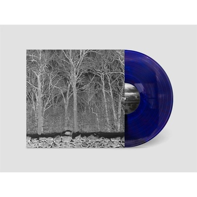 Pile - Sunshine and Balance Beams (Transparent Purple Coloured) () LP