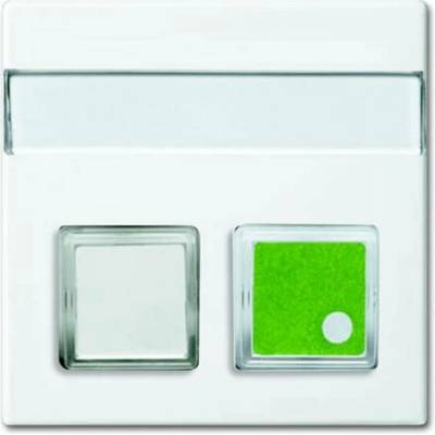 Busch-Jaeger 2CKA001582A0398
