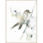 Malerifabrikken Живопис 50x70 cm Bird - Malerifabrikken (968-0546-050070-OA1)