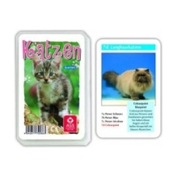 Cartamundi Deutschland Katzen, Quartett | Spielkartenfabrik Altenburg GmbH