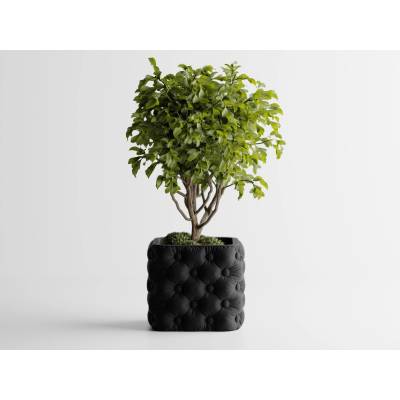 Кашпа Chesterra Малка, 110x110xH95мм- Черна