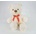 SUN-DAY Mascot Mis great with bow 073013
