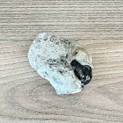 Nefertitis Obsidián Apačská slza v matrixu USA 50 NF64422 - cca 2,3 cm, 51,5 g