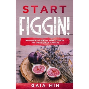 Start Figgin! : Beginner's Guide On How To Grow Fig Trees (Ficus carica) | Gaia Min (2020)