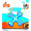 Nylabone Puppy Teething X Bone Beef S