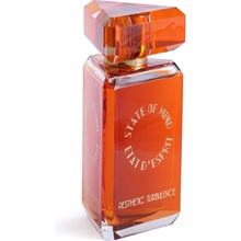 State of Mind Aesthetic Turbulence parfumovaná voda unisex 100 ml