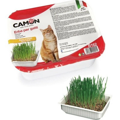 Camon tráva pre mačky z jačmeňa 130 g
