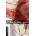 Scarlet Letter + mp3 Pack -