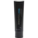 Sebastian Foundation Hydre Shampoo 250 ml