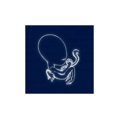 Sigur Ros - Agaetis Byrjun Vinyl LP