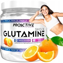 ProActive Glutamine 500 g