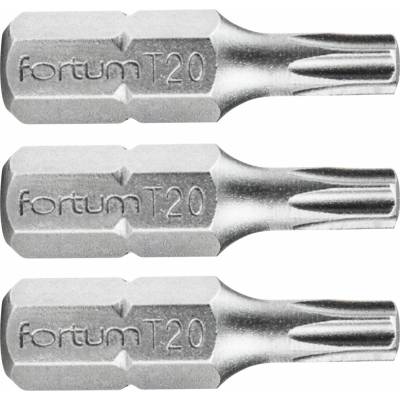 Fortum T20x25 mm 3 ks 4741420