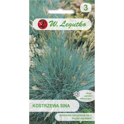 W. Legutko Синя ливадна трева - сребристо-синя