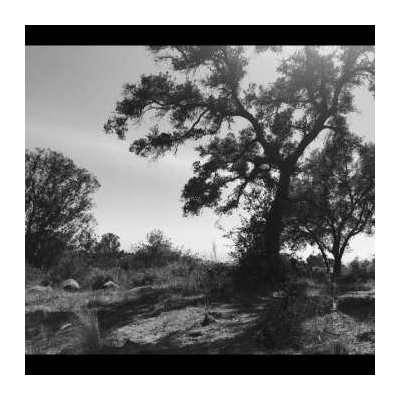 Zoh Amba - O, Sun CD