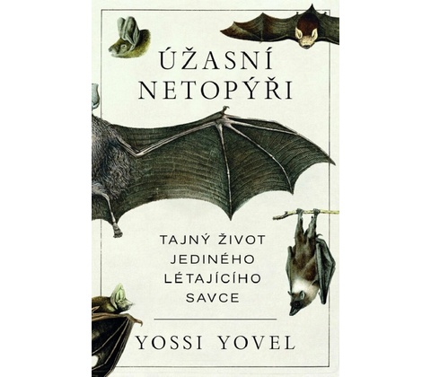 Úžasní netopýři