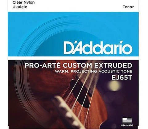 D'addario EJ65T