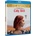 Lady Bird BD
