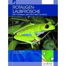 Rotaugenlaubfrösche