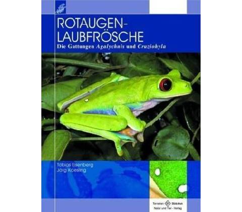 Rotaugenlaubfrösche