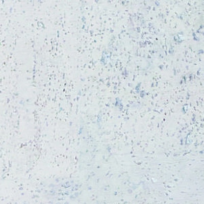 Korek Jelínek Corkline Standard White HRN KP0371 1,89 m²