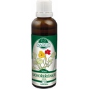 Naděje Lichořeřišnice 50 ml