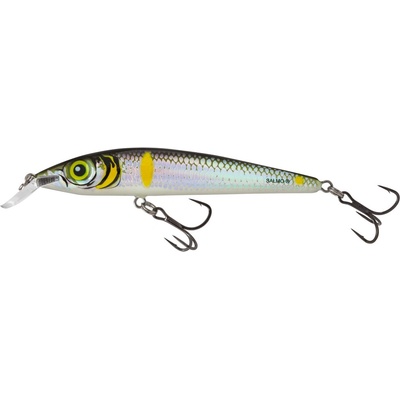 Salmo Rattlin Sting Suspending Smelt 9 cm 11 g