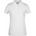 Daiber 8009 white