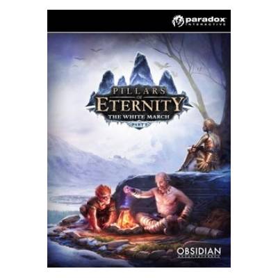 Pillars of Eternity: The White March Part I