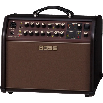Image 1 of Boss Acoustic Singer Live