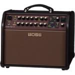 Boss Acoustic Singer Live