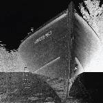 Hammered Hulls - Hammered Hulls (LP) (0643859188019)