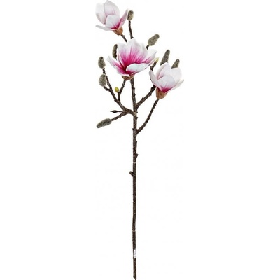 Větvička magnolie do vázy 20x65cm