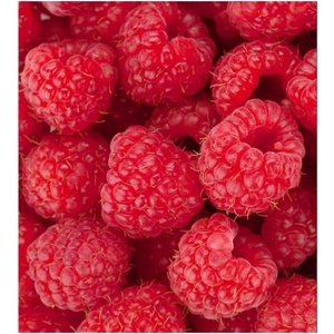 DIMEX ART Флизелинов фототапет малини 225 x 250 см