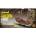 Mamoli Golden Hind 1577 1: 53 комплект
