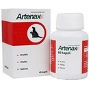 Folio Artenax 60 tbl