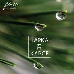 Supraphon Flair Ensemble: Kapka ke kapce - CD (037427)