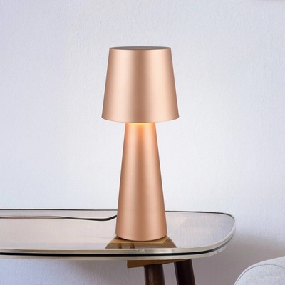 Trio Lighting 562900165