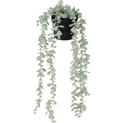 Atmosphera Umělý eukalyptus MERLY, 51 cm zelený