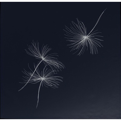 Sander Ubrus White Blow černý 85x85cm