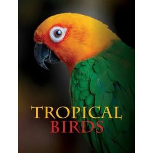 Tropical Birds | Tom Jackson (ISBN: 9781838861964)
