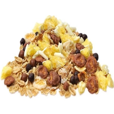 Mixit Čoko-ládování Musli s čokoládou 3 kg