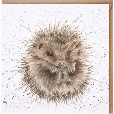 Přání Wrendale Designs "Awakening", 15x15 cm - Ježek